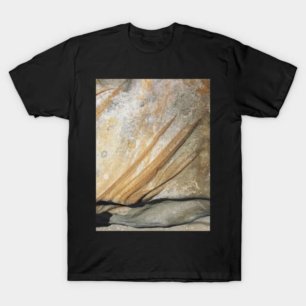 Sandstone Patterns #2 T-Shirt by rozmcq